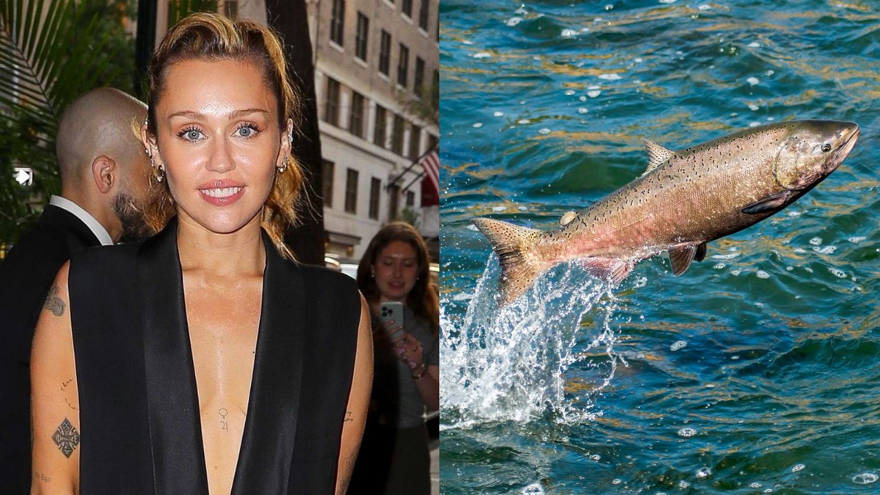 Miley Cyrus attribue son éclat à des spermatozoïdes de saumon : Le secret de beauté non conventionnel que vous n'avez jamais vu venir